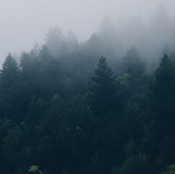 Meet your Posher, Aaron - Picture 1 of 1